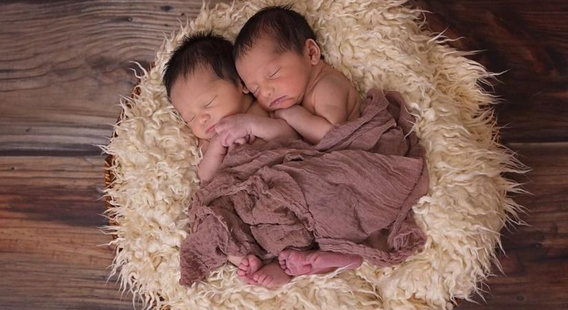 Gólyahír - Két ikerpár is született az elmúlt időszakban Szombathelyen