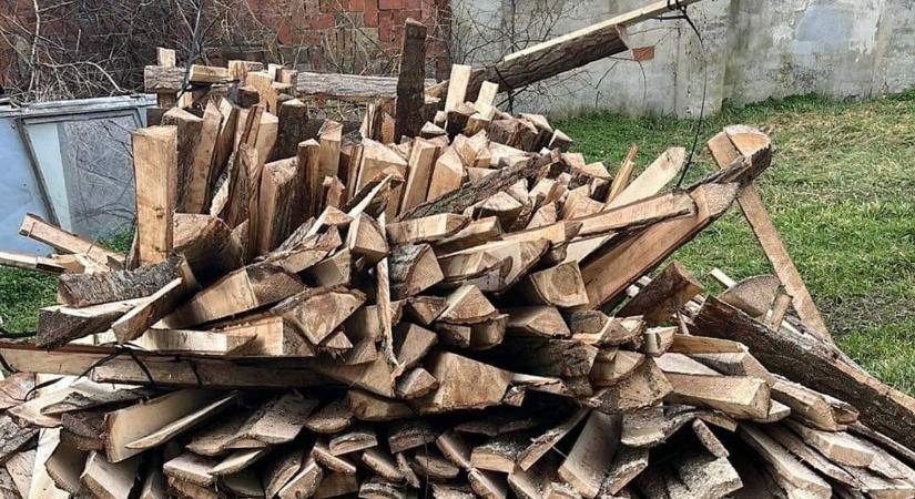 Két kaloda fát kapott a Tiszaföldvári tűzoltóság