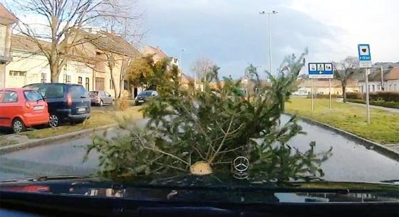 Út szélére kidobott karácsonyfa talált telibe a hétvégi nagy szélben egy kocsit – videó