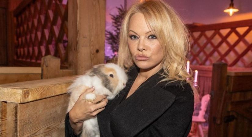 Micsoda dög! Évtizedes fotók kerültek elő Pamela Andersonról