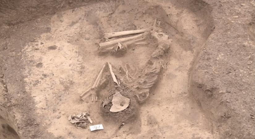 Fantasztikus felfedezéseket tettek a régészek Hetényegyháza határában: nem akármilyen kincsekre bukkantak – videó
