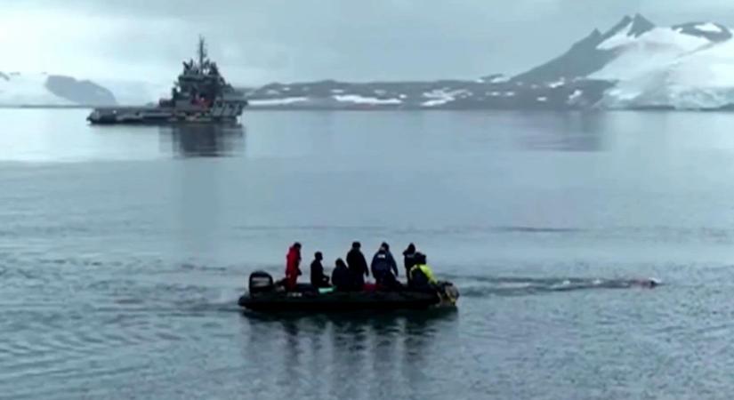 Nézni is rossz: két és fél kilométert úszott egy nő az Antartkisz jeges vizében - videó