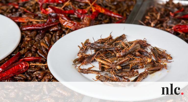 Jönnek a „bogaras” polcok a boltokban, pedig sok termékben már régóta rovart eszünk