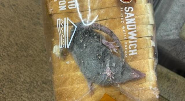 Patkány került a szeletelt kenyér zacskójába, elnézést kért a szállítócég