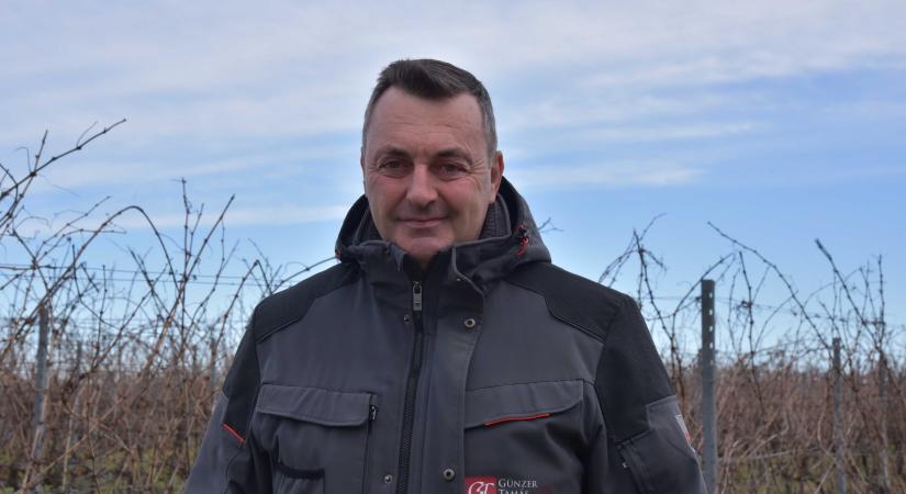 Lendületes évkezdet Günzer Tamás Pincészeténél