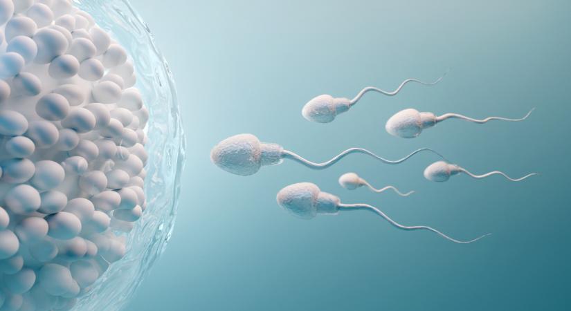 A jövő fogamzásgátlója lehet a spermakábító
