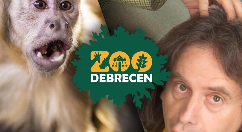 Pandacsöki Boborján örökbe fogadja Debrecenben állatkerti névrokonát – itt a farsangi program