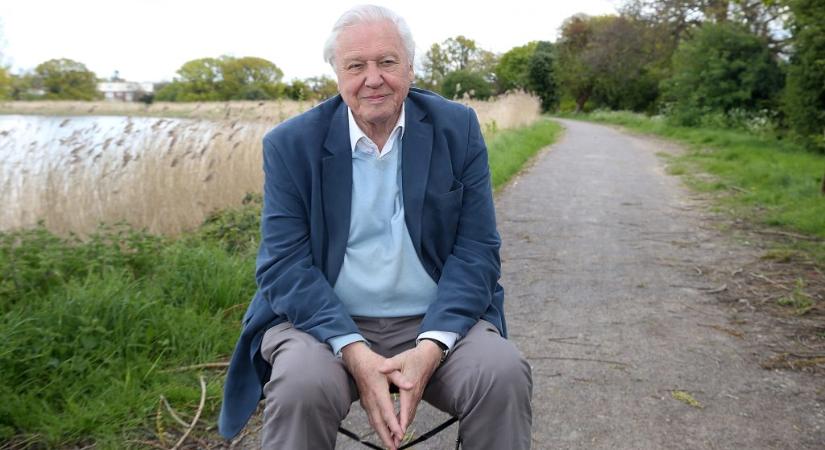 Sir David Attenborough elárulta, mit rontott el legendás pályafutása során