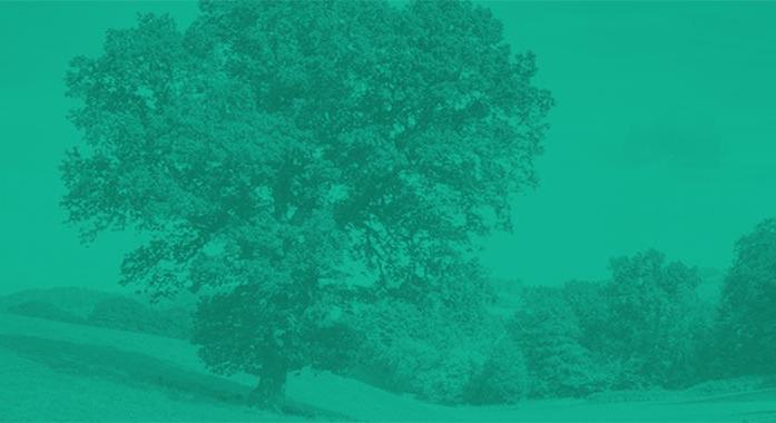 6 szuper ötlet konzervdobozok újrahasznosításához