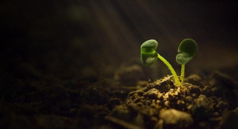 Átalakulás jön a földeken növényvédőszer-fronton: ezt jó, ha minden gazda tudja