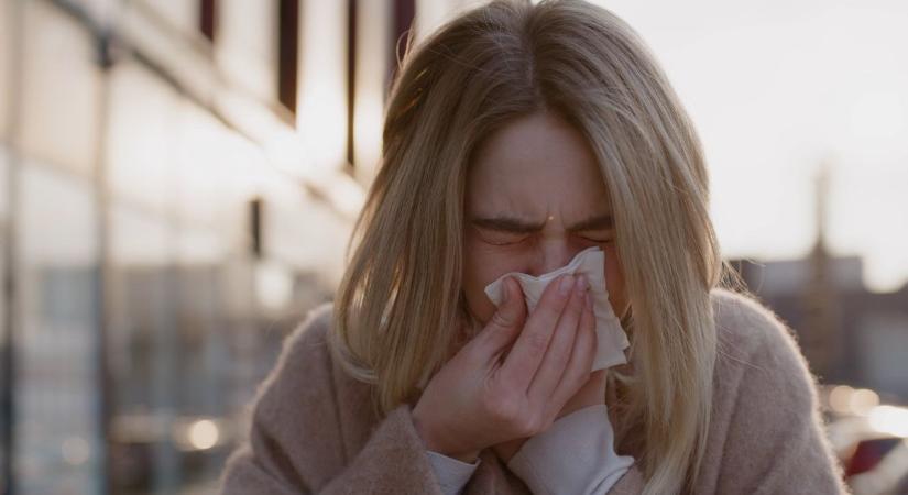 Korai pollenszezon: mire számíthatnak az allergiások Nógrádban?