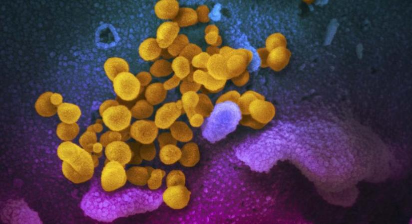 Egyes antiszeptikumok és szájvizek képesek lehetnek a koronavírus hatástalanítására