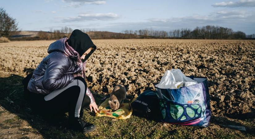 Az uniós állampolgárok többsége továbbra is határozottan támogatja Ukrajnát