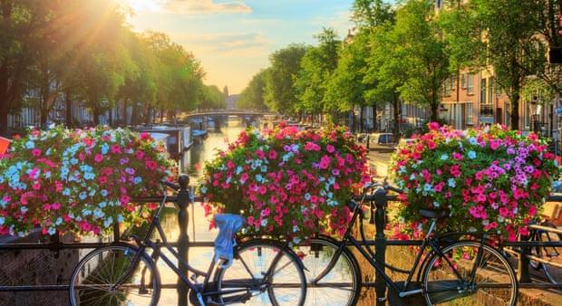 Virágládákkal védik az amszterdami hidakat az odaláncolt bicikliktől