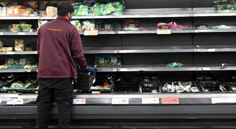Beütött a salátakrízis Nagy-Britanniában