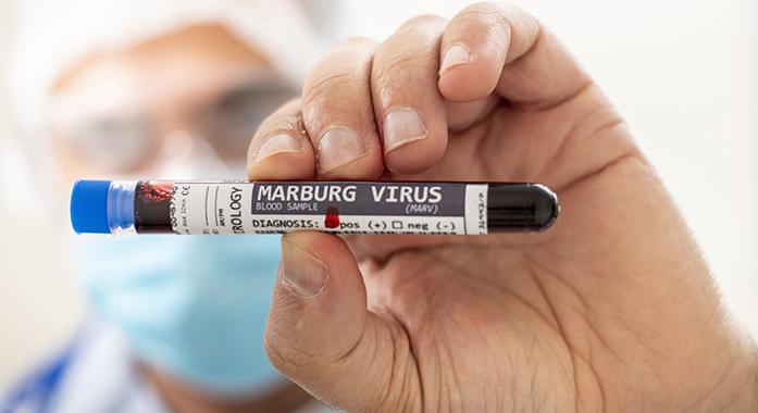 Amit a 88 százalékban halálos Marburg-vírusról tudni kell