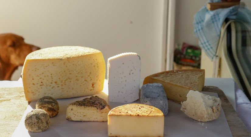 A gasztronómia reneszánsza, avagy a nyers tejes sajtok újrafelfedezése