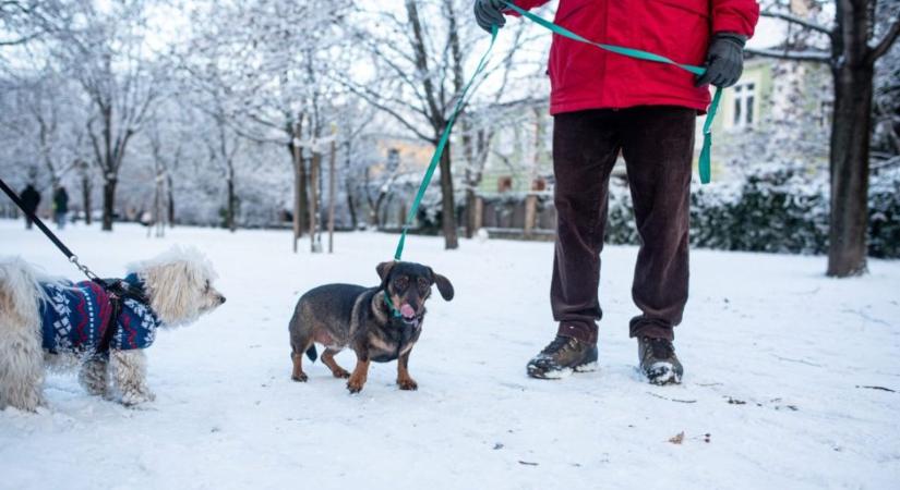 Ha vasárnap, akkor hó, havas eső, szél és veszélyjelzés