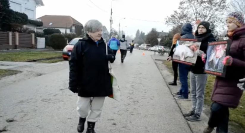 A magyar néni kiosztotta a vegán tüntetőket: „Megkérdezem a karalábét majd”