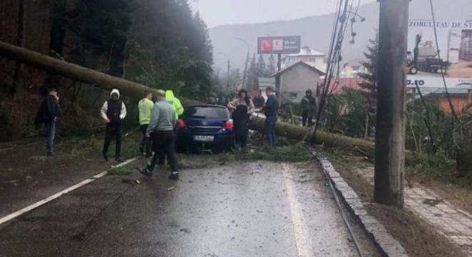 Fenyőfa dőlt az útra, egy autó belerohant – Lezárták az ország egyik legforgalmasabb országútját