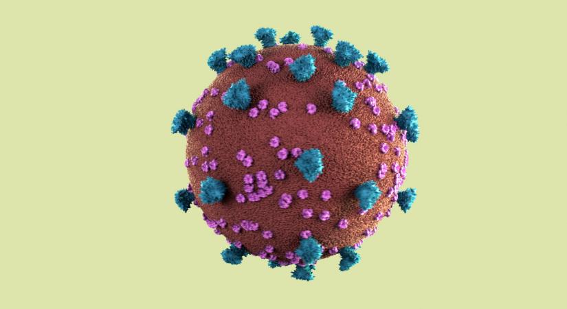 Megdőlni látszik a koronavírus-tévhit: innen indulhatott valójában a világjárvány