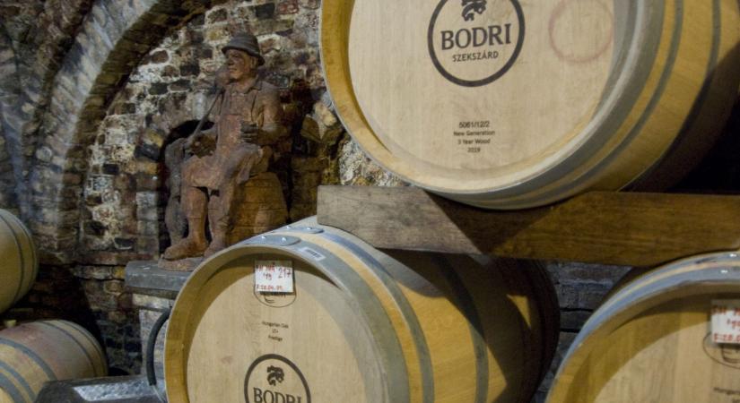 A Bodri Pincészet a Borjour MAGNUM-on