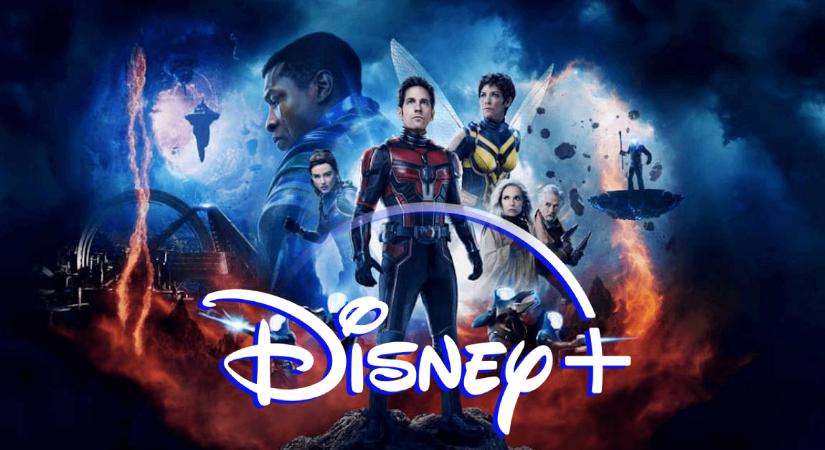 Mikor jöhet a Disney-ra a Hangya és a Darázs: Kvantummánia? – Nem kell sokat várni