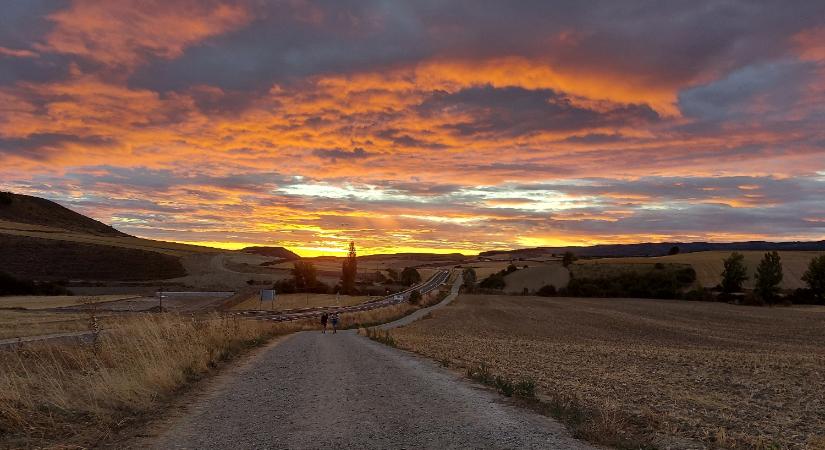 El Camino - Francia út: 13. nap - Viloria de Rioja - Villafranca Montes de Oca (20 km)