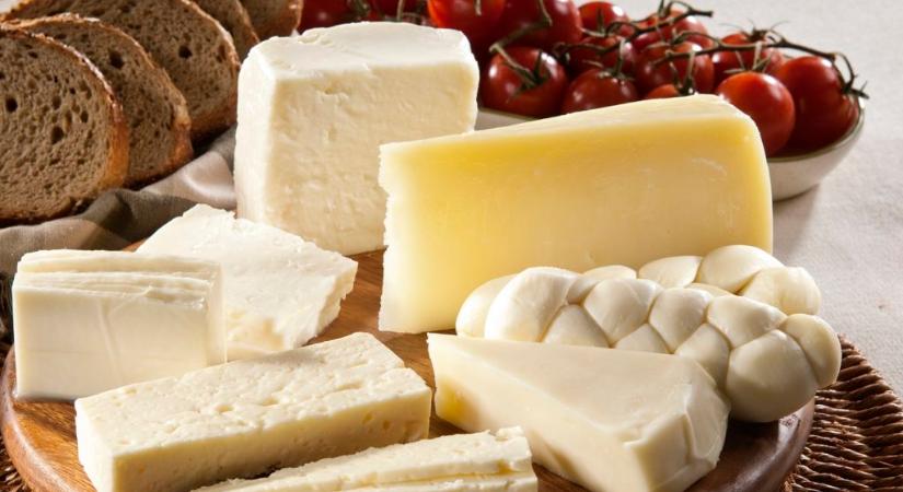 A vaj után a trappista sajt árát is tartósan csökkenti egy hazai diszkontlánc