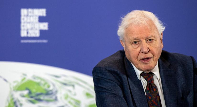 David Attenborough új sorozata valószínűleg az utolsó helyszíni forgatása lesz