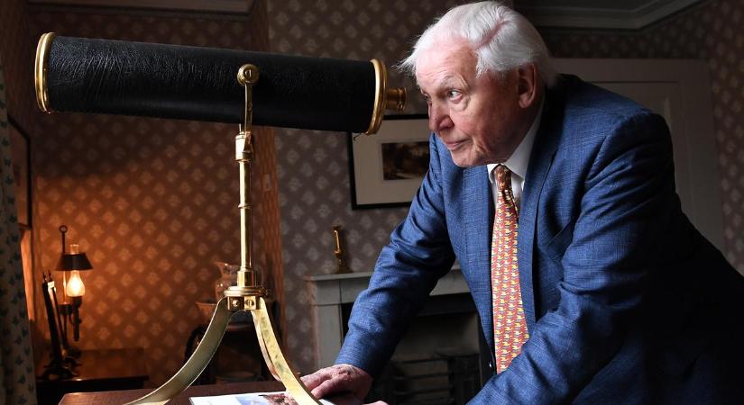 Egy nemzedék zokog: világrengető filmmel vonul vissza Sir David Attenborough – De vajon végleg?