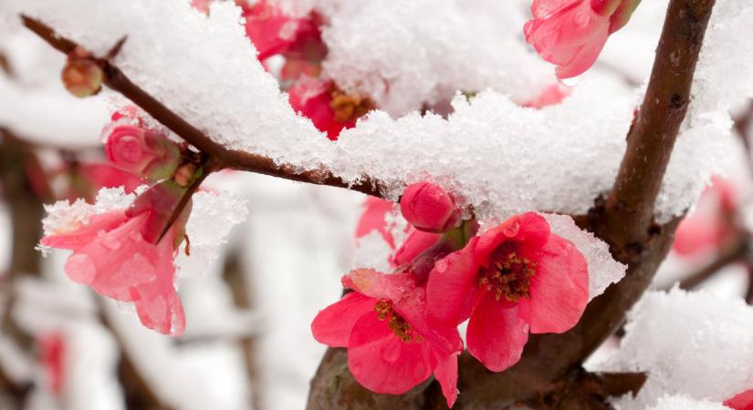 Februári tavasz után jöhet a márciusi tél: ilyen vacak idő lesz a jövő héten