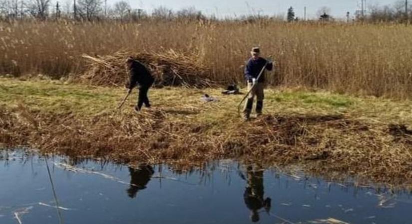 A komlósi horgászok a környezetvédelemben is jeleskednek