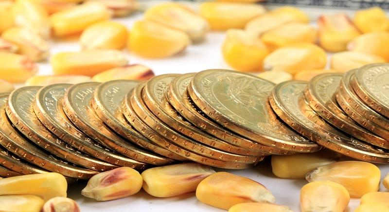 Indul az Agrárminisztérium új agrártámogatási honlapja
