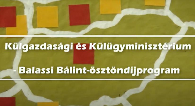 Pályázati felhívás a Balassi Bálint-ösztöndíjprogram – Márton Áron-ösztöndíj Módszertani Konferenciára