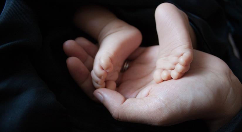 Ügyészség: A fagyasztóban talált kisbaba már halva született