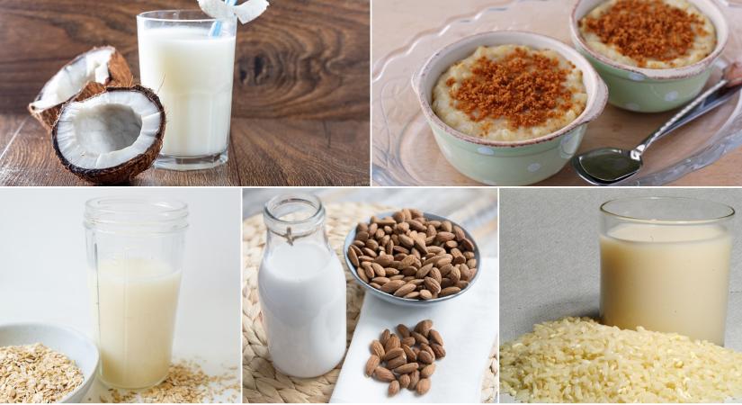 Zabtól a kókuszig: melyik alternatív tej mire és miért jó?