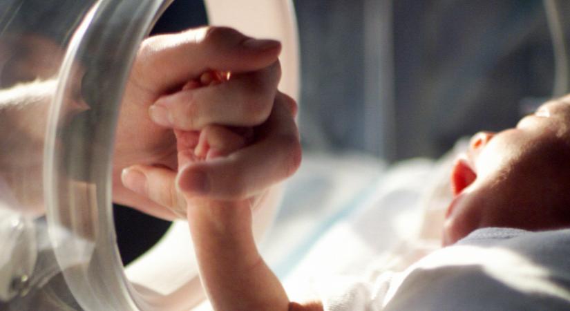 Ők a világ legkisebb koraszülöttjei, perceken múlt az életük