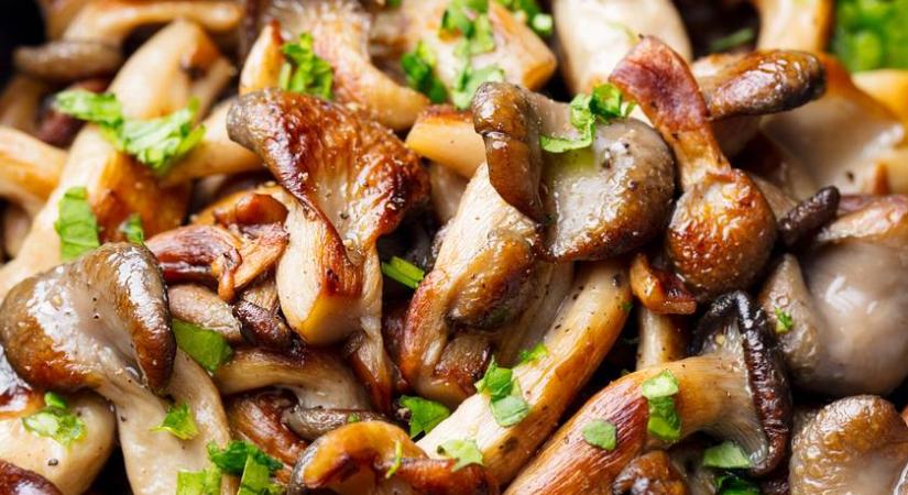 Kedvenc ételeink gombából: finom és laktató fogások húsmentes napokra