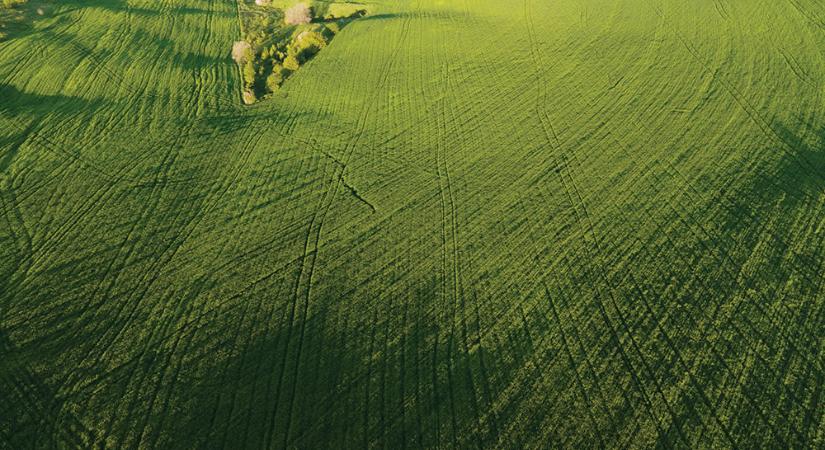 Egyre nagyobb teret hódítanak a drónok az agráriumban