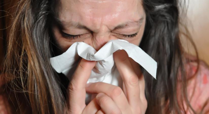 Csökkent az influenzás betegek száma Békésben a múlt héten