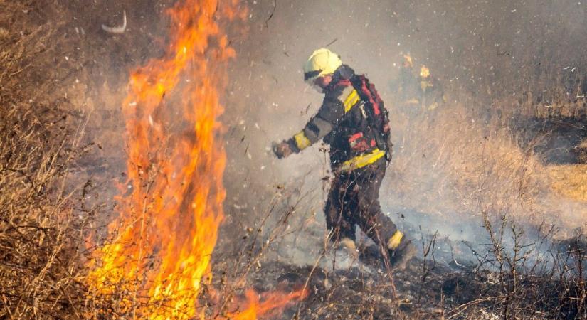Nőnapi lángok: szabadtéri tüzekhez vonultak Nógrád-szerte a tűzoltók