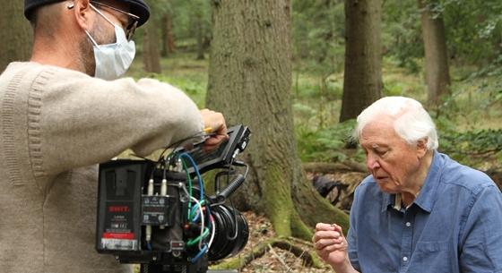 Guardian: Jobboldali kritikáktól tart, ezért nem adja le a BBC David Attenborough dokumentumfilmjét