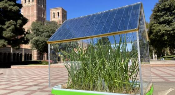 Szerves anyagokból készítettek napelemeket kutatók, üvegházakra rakva még a növények is jobban nőnek alattuk