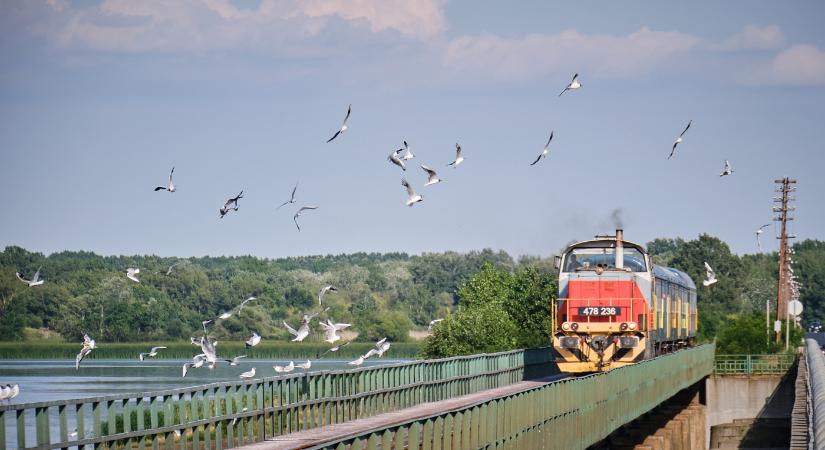 Újra jár a Tisza-tó expressz