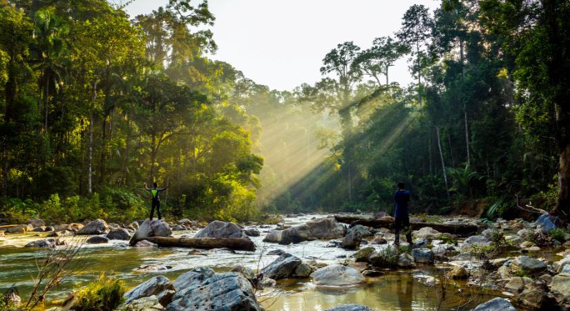 Képeken Malajzia egyik legszebb nemzeti parkja, a Taman Negar