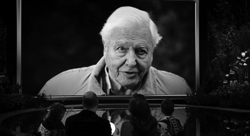 A BBC nem adja le David Attenborough egyik dokumentumfilmjét, mert fél a jobboldal kritikájától