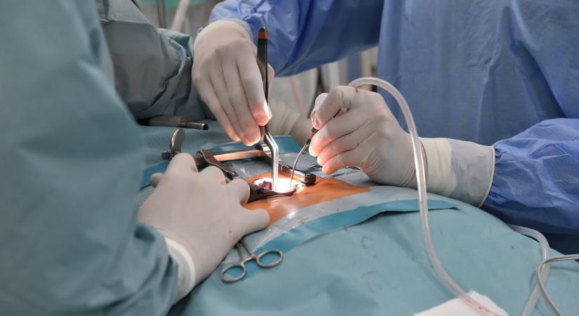 Óriási siker az Uzsokiban: új technológiával gyógyíthatókká váltak a daganatos betegek