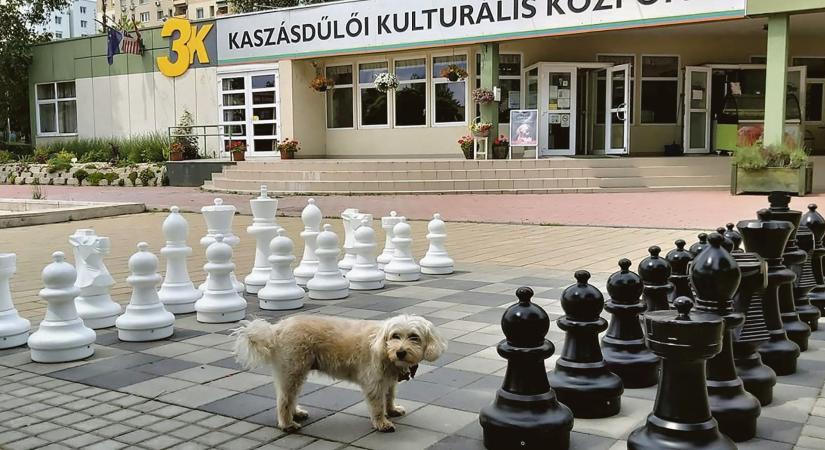 Ékszerdoboz a lakótelep közepén