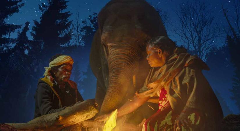Oscar 2023: Az Elefántsuttogók nyerte a legjobb rövid dokumentumfilmnek járó díjat